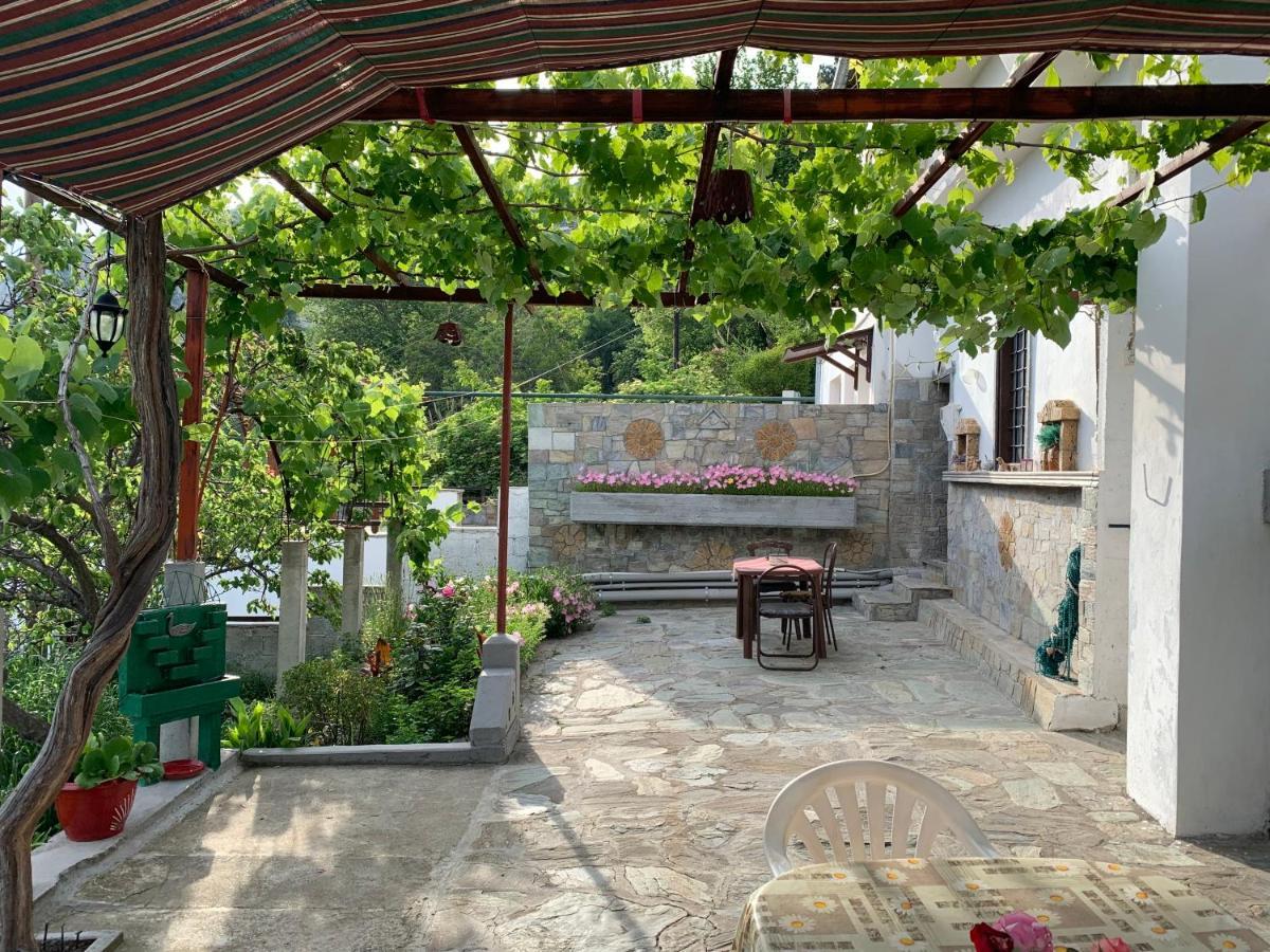 Η Θεα Traditional House Makrinítsa Exterior foto